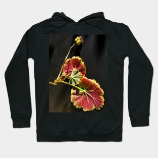 Death of a Geranium Hoodie